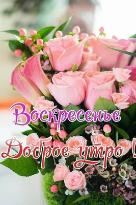 Картинка: Доброе утро воскресенья!