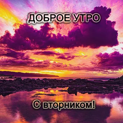 Пусть этот вторник будет счастливым! Доброе утро ☀ #Педсовет #Доброе #Утро  | Всероссийский портал \"Педсовет\" | ВКонтакте