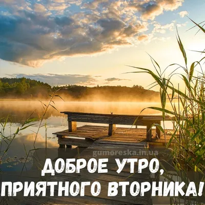 доброеутро#вторник | TikTok