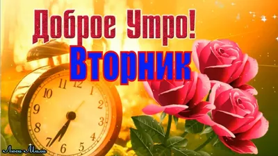 Доброе утро вторник картинки и открытки з добрым утром