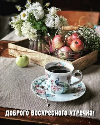 Доброе воскресное утро!!! | Instagram