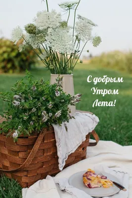 ♡ Добро ♡ пожаловать! ♡🔝 в Instagram: «💐Всем, кому жарко, желаю прохлады,  Всем, кому холодно - солнце в награду, Всем, кто печален, пря… | Жаркое,  Солнце, Счастье