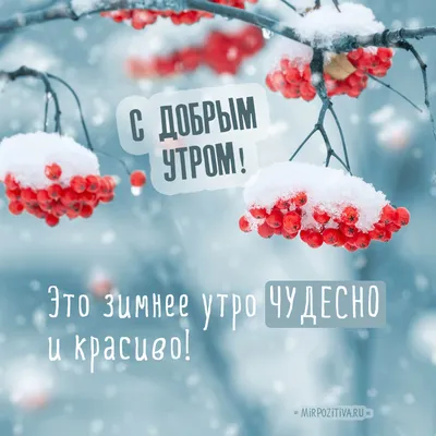 ДОБРОЕ ЗИМНЕЕ УТРО! ~ Gif-анимация