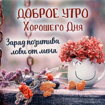 доброго осеннего утра#чудесного дня#волшебного настроения | TikTok