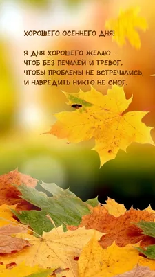 Картинки доброго осеннего дня и хорошего настроения (58 фото) » Картинки и  статусы про окружающий мир вокруг