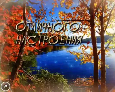 Картинки \"Доброго осеннего дня!\" (201 шт.)