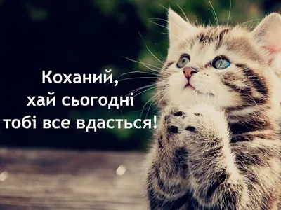 Доброго ранку: нові картинки, побажання та листівки ❀ ТОП ПРИВІТАННЯ ❀