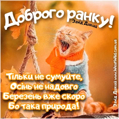 доброгоранку #позитив #собака #смішне #прикол #привітання | TikTok