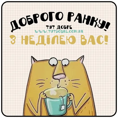 Картинки Доброго дня: прикольні побажання в фото та листівках - Радіо  Незламних