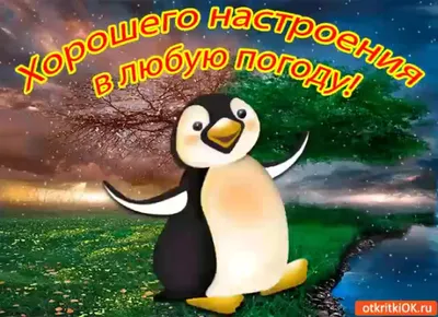 Красивые пожелания с добрым утром: стихи, проза, открытки - МЕТА