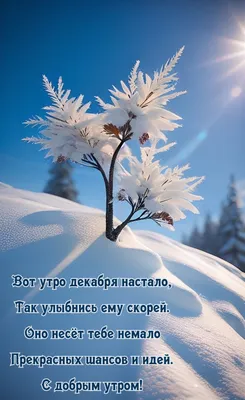 malinkakat_ru_5863.jpg