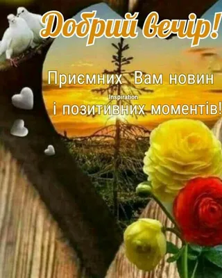 Ідеї на тему «Добрий вечір! Надобраніч!» (800) | листівка, доброго ранку,  нічні фото