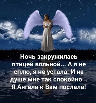 Всем очень доброй ночи,друзья!!!❤❤❤🌺 | НЕ БУДЕМ О ГРУСТНОМ... | ВКонтакте