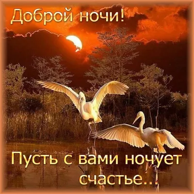 Гармония - 💖💖💖 ДОБРОЙ НОЧИ, ДРУЗЬЯ!!! ВОЛШЕБНЫХ СНОВ!!! ДО ЗАВТРА!!!  🌠🌠🌠 | Facebook