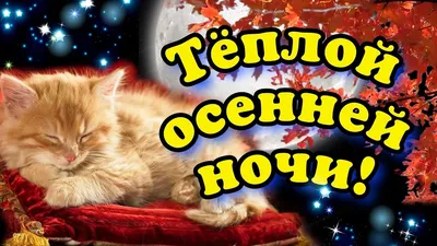 Доброй осенней ночи» — создано в Шедевруме