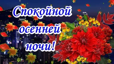 Осенние открытки \"Спокойной ночи!\" (253 шт.)