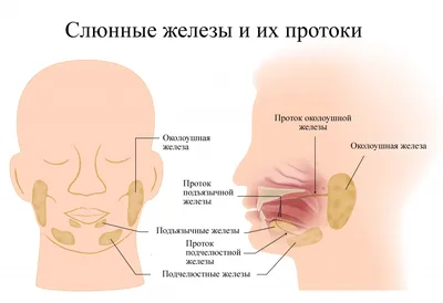 Рак и доброкачественные опухоли молочной железы Чистяков С.С. 9785873175567