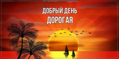 Осенние открытки \"Доброго дня!\" (231 шт.)