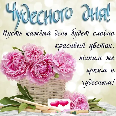 ДОБРЫЙ ДЕНЬ! 🦋🌼💐🌺🌿🌼🦋 ПОЖЕЛАНИЯ!