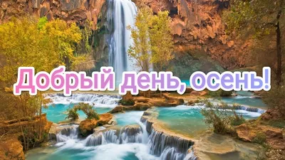 Доброго осеннего дня, открытки с пожеланиями! Добрый день! Осень! Доброго  осеннего дня... | Страница 1