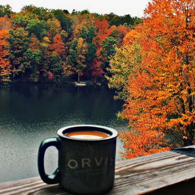 ОСЕНЬ! ДОБРЫЙ ДЕНЬ! 🍂🌹🍁🌹🍁🌹🍂 ПОЖЕЛАНИЯ для МОИХ ДРУЗЕЙ! | Доброе  утро, Открытки, Осень