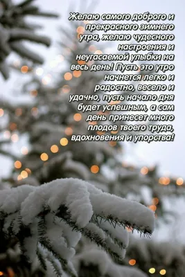 Добрый день, друзья! ⠀ 🌲🌟⛄❄ Зима в деревне. Вологодская область. ⠀ ⠀  Больше красивых фото по ссылке в профиле. ⠀ ⠀ Благодарим Автор: Ф… |  Instagram