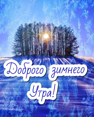 зима #хорошегодня #снегирь #врек #рекомендации #добрыйдень | TikTok