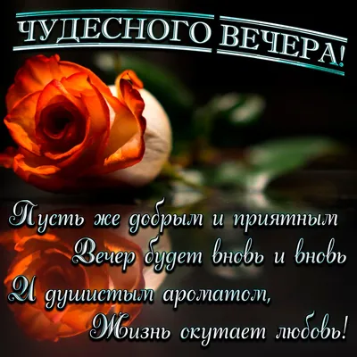 Красивое пожелание добрый вечер доброй ночи, 50 вариантов, в стихах,  картинках, открытках, гифках. Прикольные пожелания добрый веч… | Ночь,  Спокойной ночи, Открытки