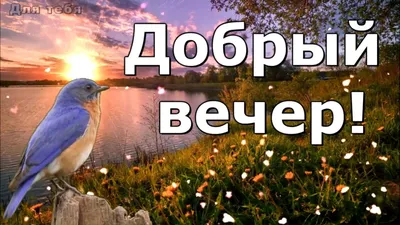 Добрый вечер всем - Доброго вечера | Христианские картинки, Вдохновляющие,  Библия