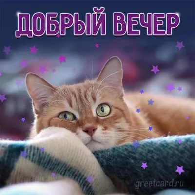 добрый вечер девочки | TikTok