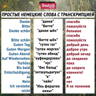 Как сказать на Немецкий? \"Добрый вечер,доброе утро\" | HiNative