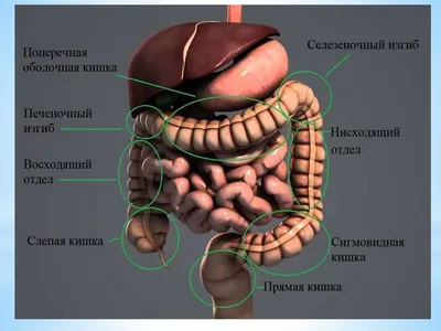 Какие заболевания кишечника можно диагностировать с помощью КТ?