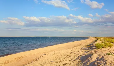 Отзыв о Должанская коса (Россия, Краснодарский край) | Удивительное место  границы Азовского моря и Таганрогского залива. Красиво. Необычно.