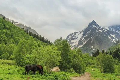 Домбай: как летом выглядит популярный горнолыжный курорт (ФОТО) | Узнай  Россию | Дзен