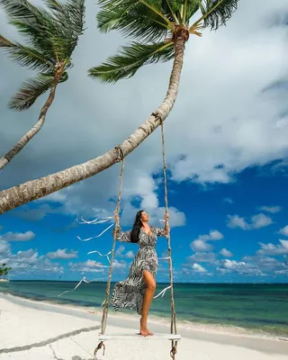 Доминикана Фотограф 🌴 Свадьбы on Instagram: “❓Нужна фотосессия в Доминикане❓  🏝Лучшие предложения … | Palm tree photography, Palm trees wallpaper, Tree  photography