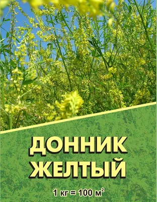 Донник желтый - купить в Дмитрове, Москве и Московской области по низкой  цене