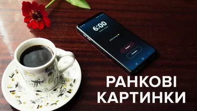 Картинка доброе утро с котенком и бабочкой