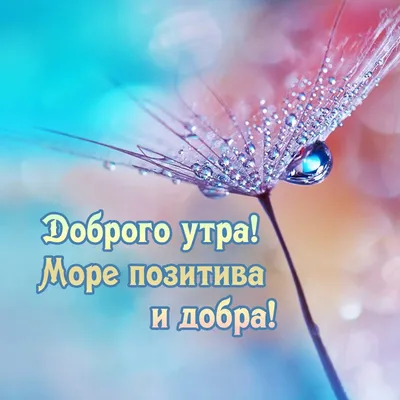 Дорогие коллеги и друзья, поздравляем вас с Новым годом и Рождеством! -  tablogix.ru - tablogix.ru