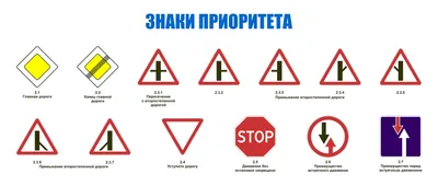Дорожные знаки и разметка