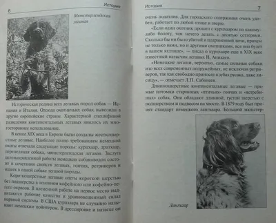 Продажа щенков породы Немецкий Дратхаар – купить с рук, город Москва