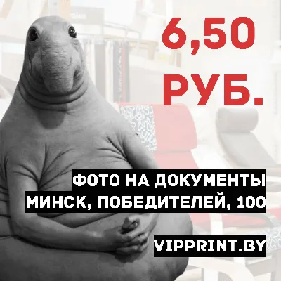 Магнит дратути - купить в Москве / Компания ММТ