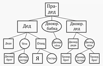 Как составить родовое дерево: источники поиска по фамилии, виды родовых  деревьев, варианты оформления