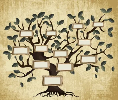 Как составить Древо Рода, если родственников очень много | Сайт психологов  b17.ru | Дзен