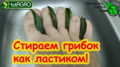 Нормадерм от грибка ногтей- Грибок ногтей- NormaDermм от грибка ногтей  (ID#1403253958), цена: 299 ₴, купить на Prom.ua