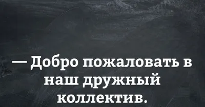 Коллектив в Credit Asia | Интернет магазин качественной техники для дома и  офиса