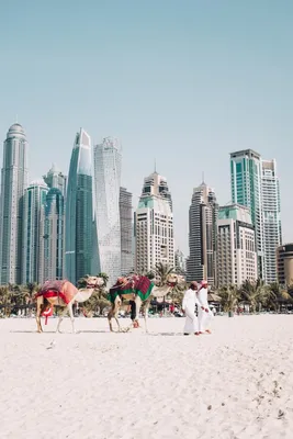 Вот чем вы можете наслаждаться бесплатно в Дубае! | Блог - ES Dubai