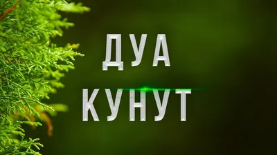 Карточки дуа \"Кунут дуоси\" купить по низким ценам в интернет-магазине Uzum  (635391)