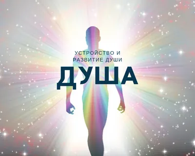 Уловка 22: почему «Душа» — это пытка