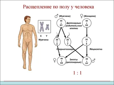 Сменивший пол дагестанец боится возвращаться домой - Новости на KP.UA