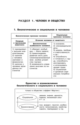 Шаг 6 – Типы переменных. Количественные и номинативные переменные – Stepik